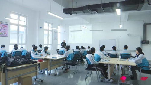 新泰市深化职业教育改革 以创新之力赋能经济社会高质量发展