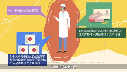 中工新闻 社会经济咨询服务助力高质量发展新篇章